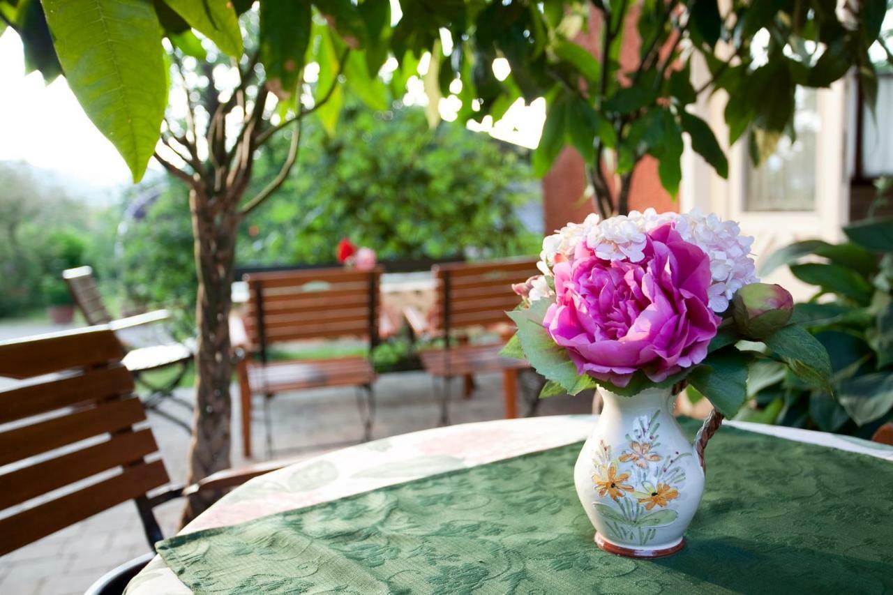 Apartments Im Garten - Haus Anna Graz Extérieur photo